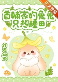 首辅宠妻日常白兔奶糖盘搜搜